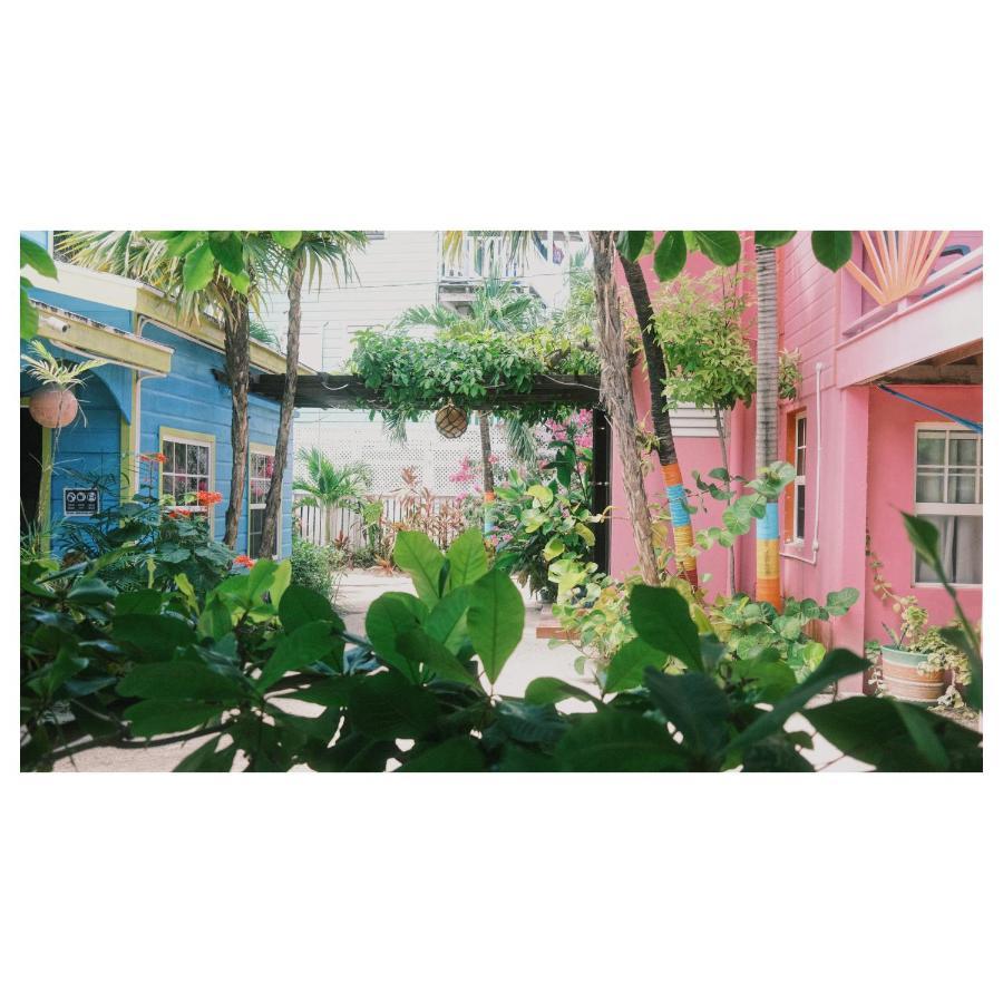 Sea n sun Guest House Caye Caulker Exterior foto