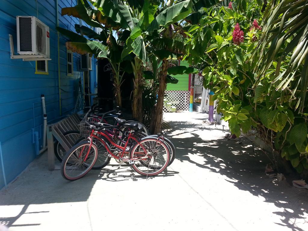 Sea n sun Guest House Caye Caulker Exterior foto
