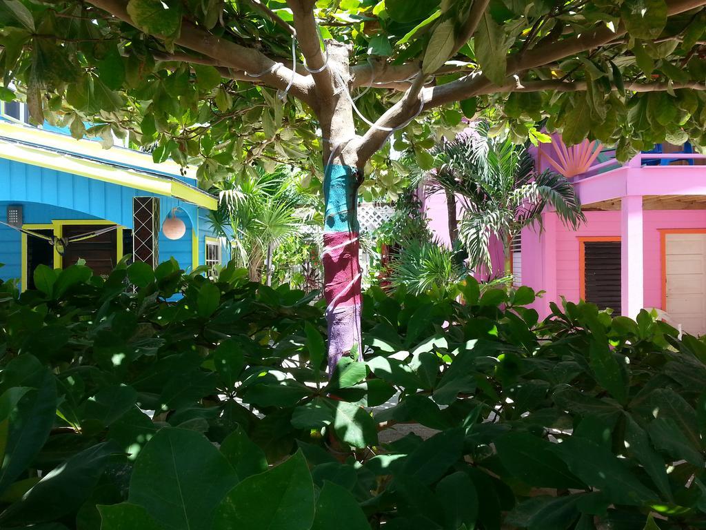 Sea n sun Guest House Caye Caulker Exterior foto